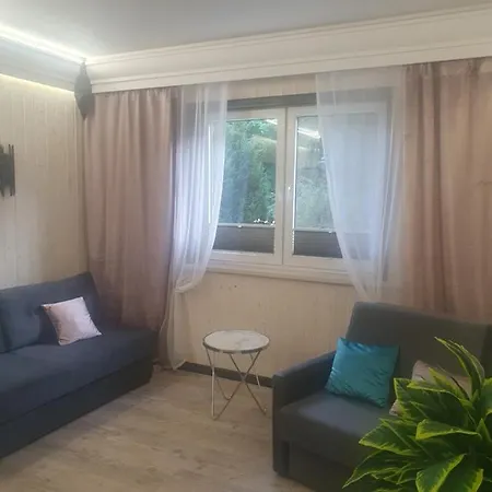 Rodzinny Serce Krynicy クリニツァ・モルスカ